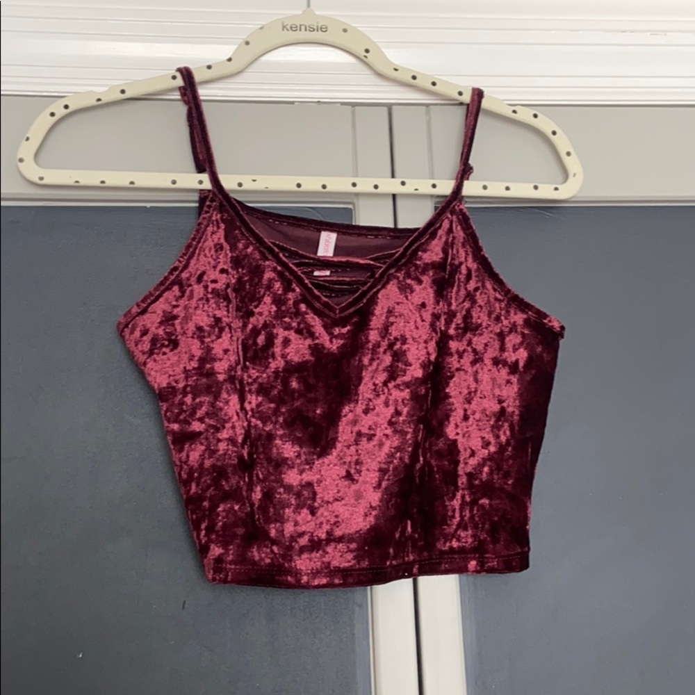 Velvet Crop Top